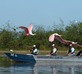 turismo-pantanal-1000-2